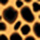Animal print