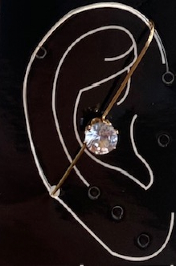 Earring jewel