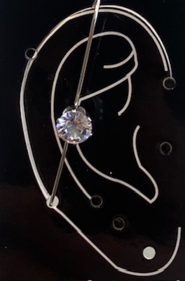 Earring jewel