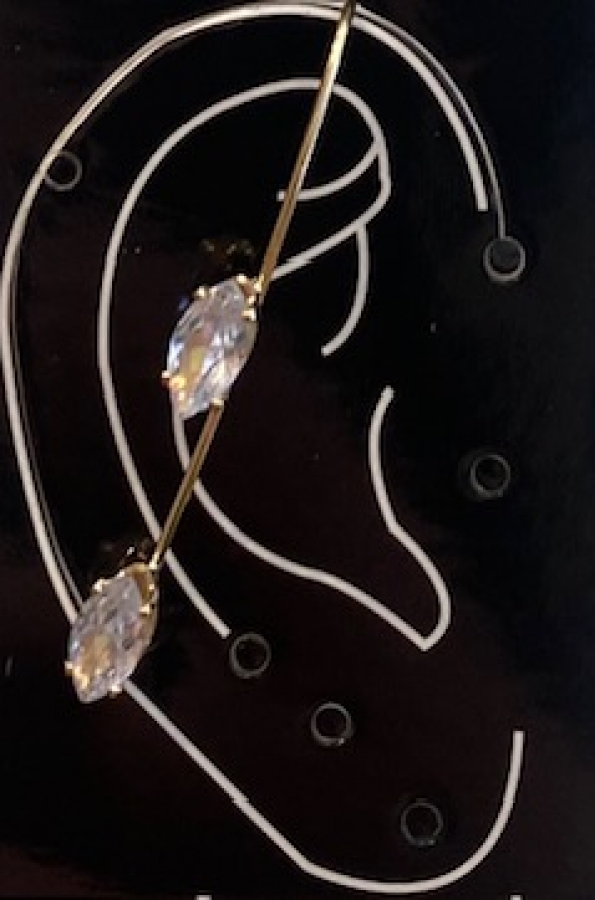 Earring jewel