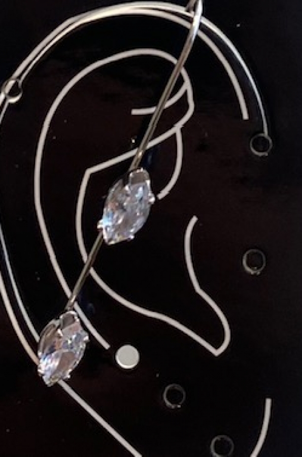 Earring jewel