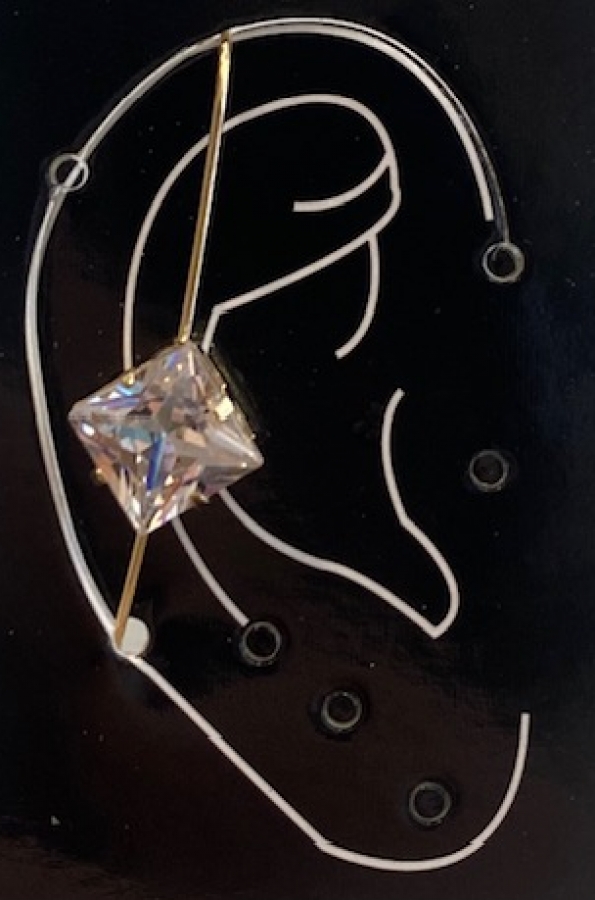 Earring jewel