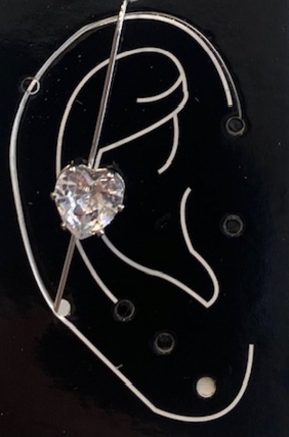 Earring jewel
