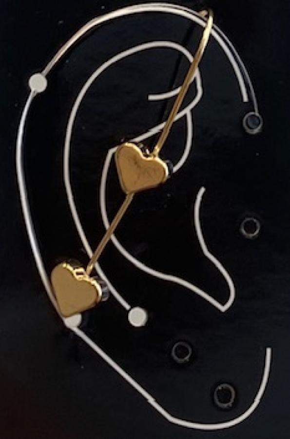 Earring jewel