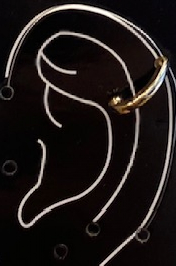 Earring jewel