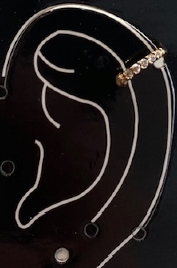 Earring jewel