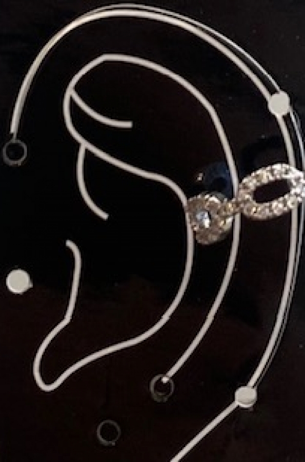 Earring jewel