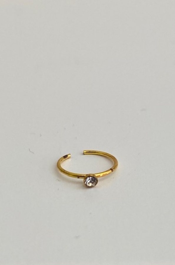 Nose earring